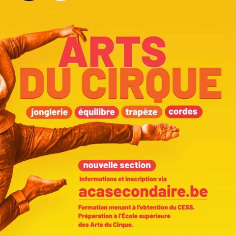affiche arts du cirque