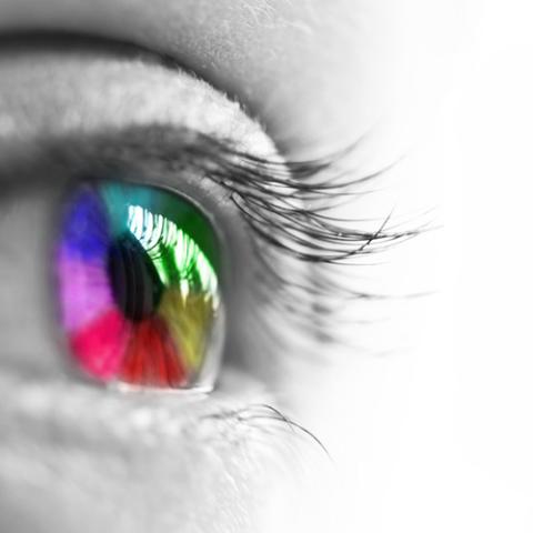 oeil